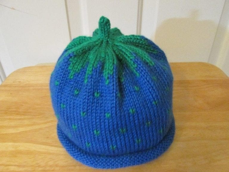Fruit Hat Knitted Blueberry Lords of the Seas