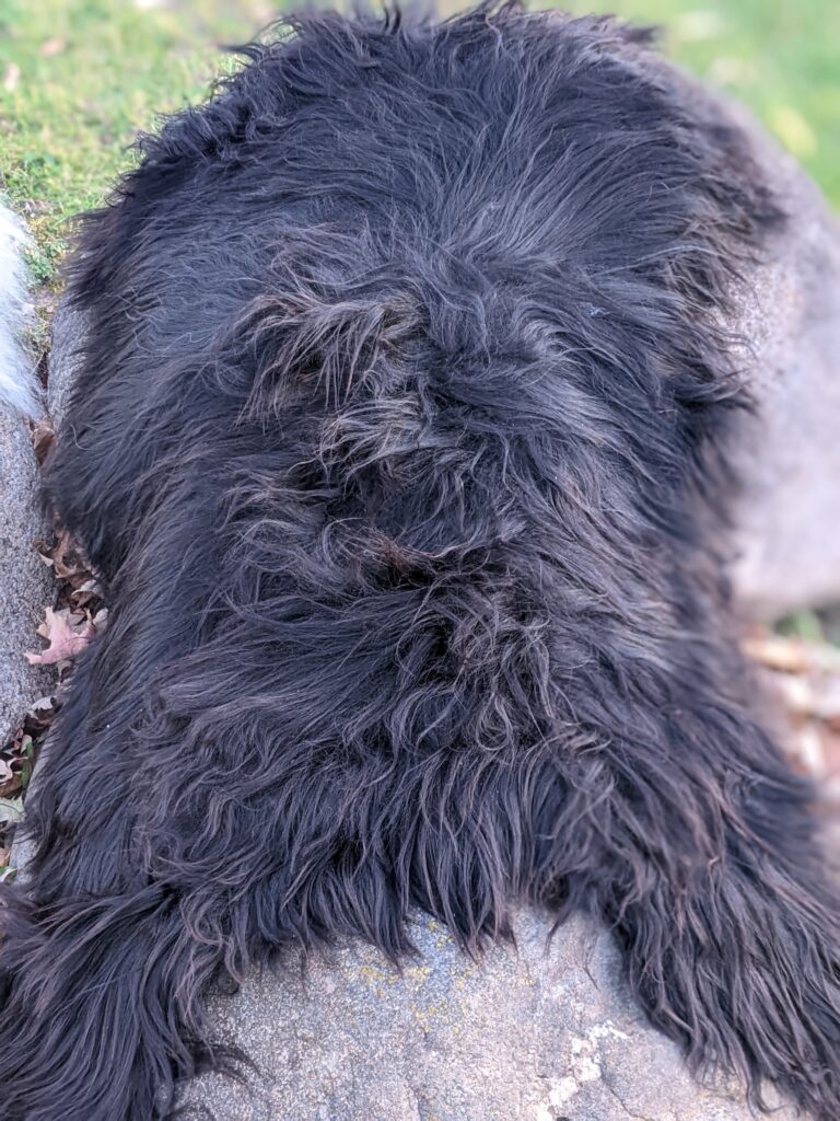 Lords of the Seas LLC