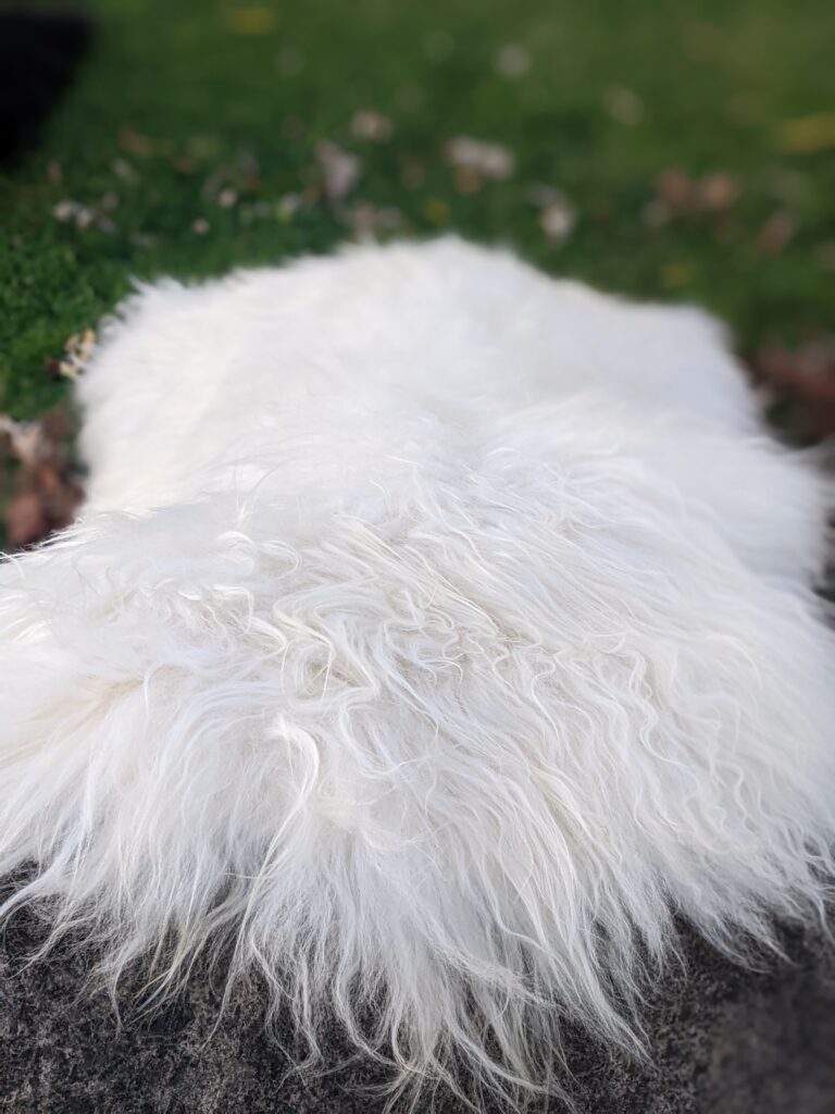 Lords of the Seas LLC