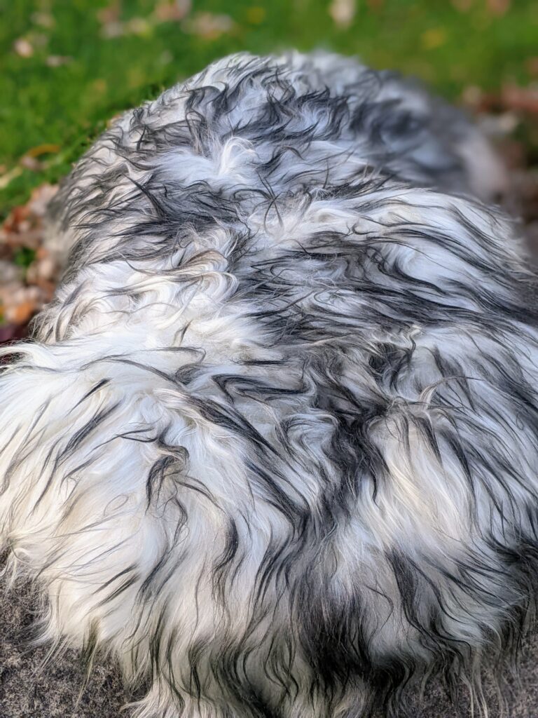 Lords of the Seas LLC