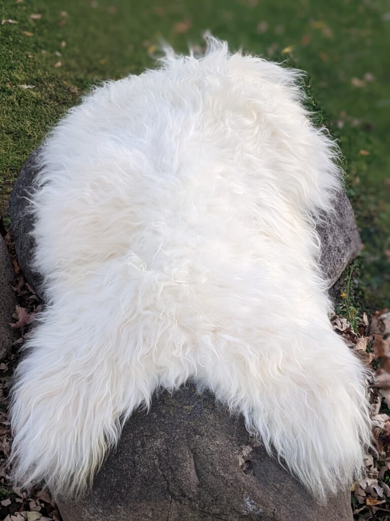 Lords of the Seas LLC