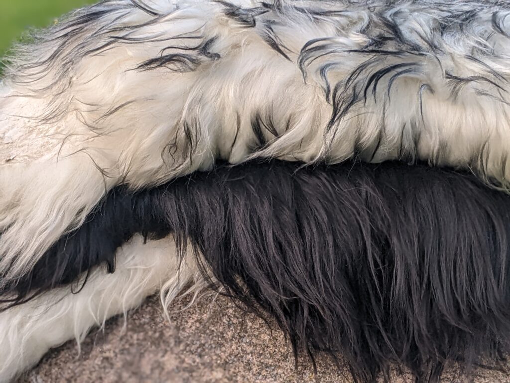 Lords of the Seas LLC